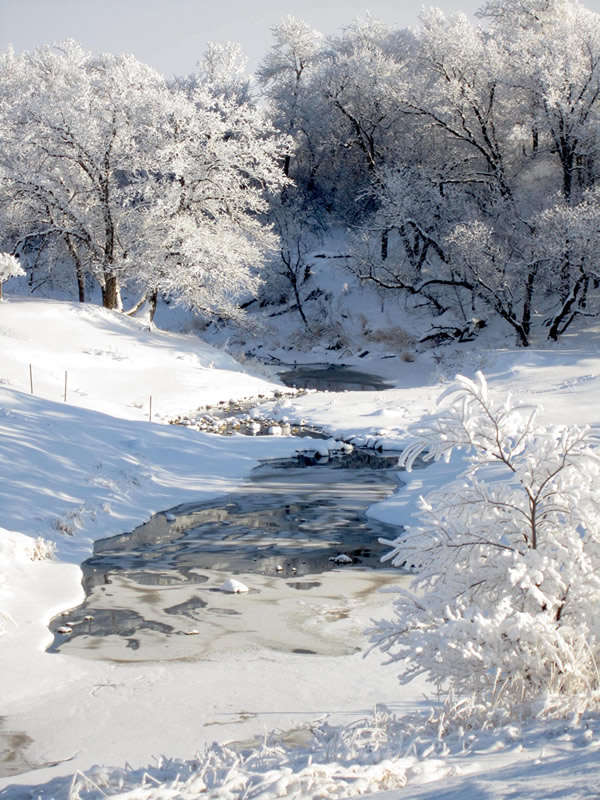 Creek by Alleesha Del Macdonald